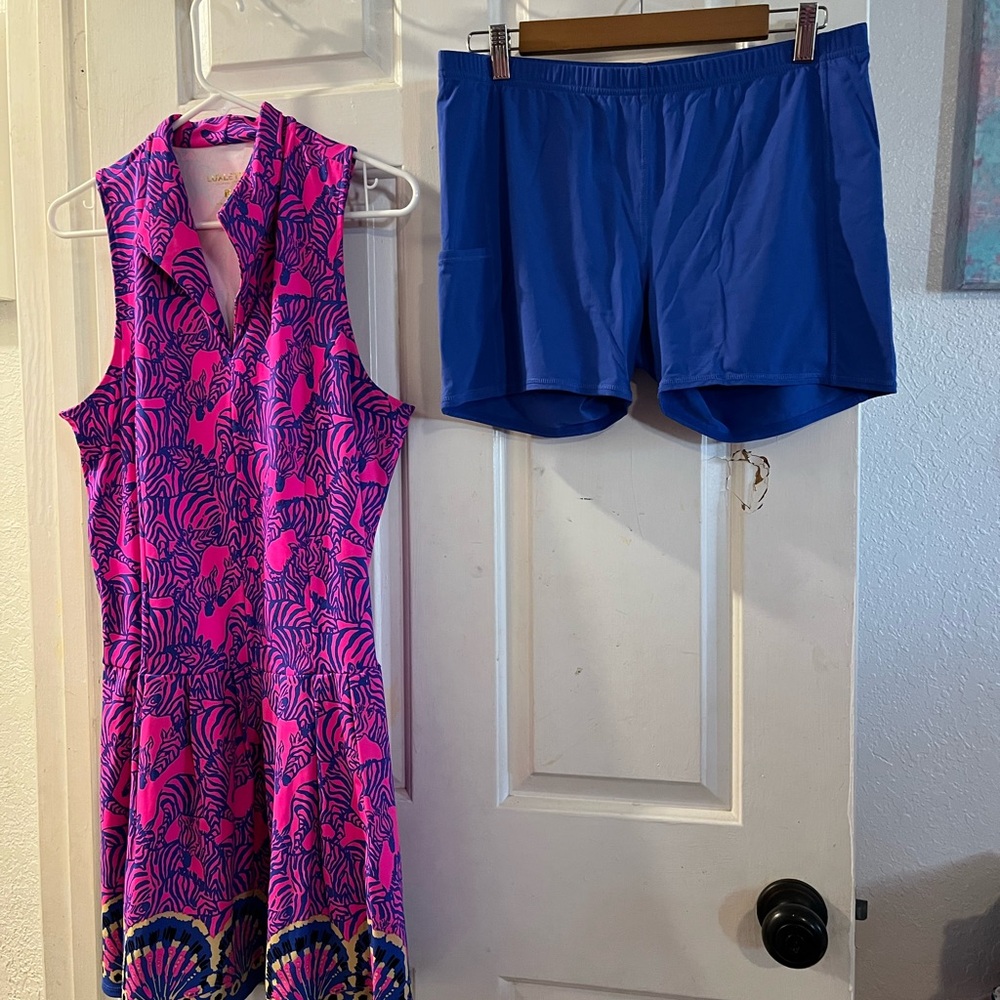 Lilly Pulitzer Pink and Blue Dress